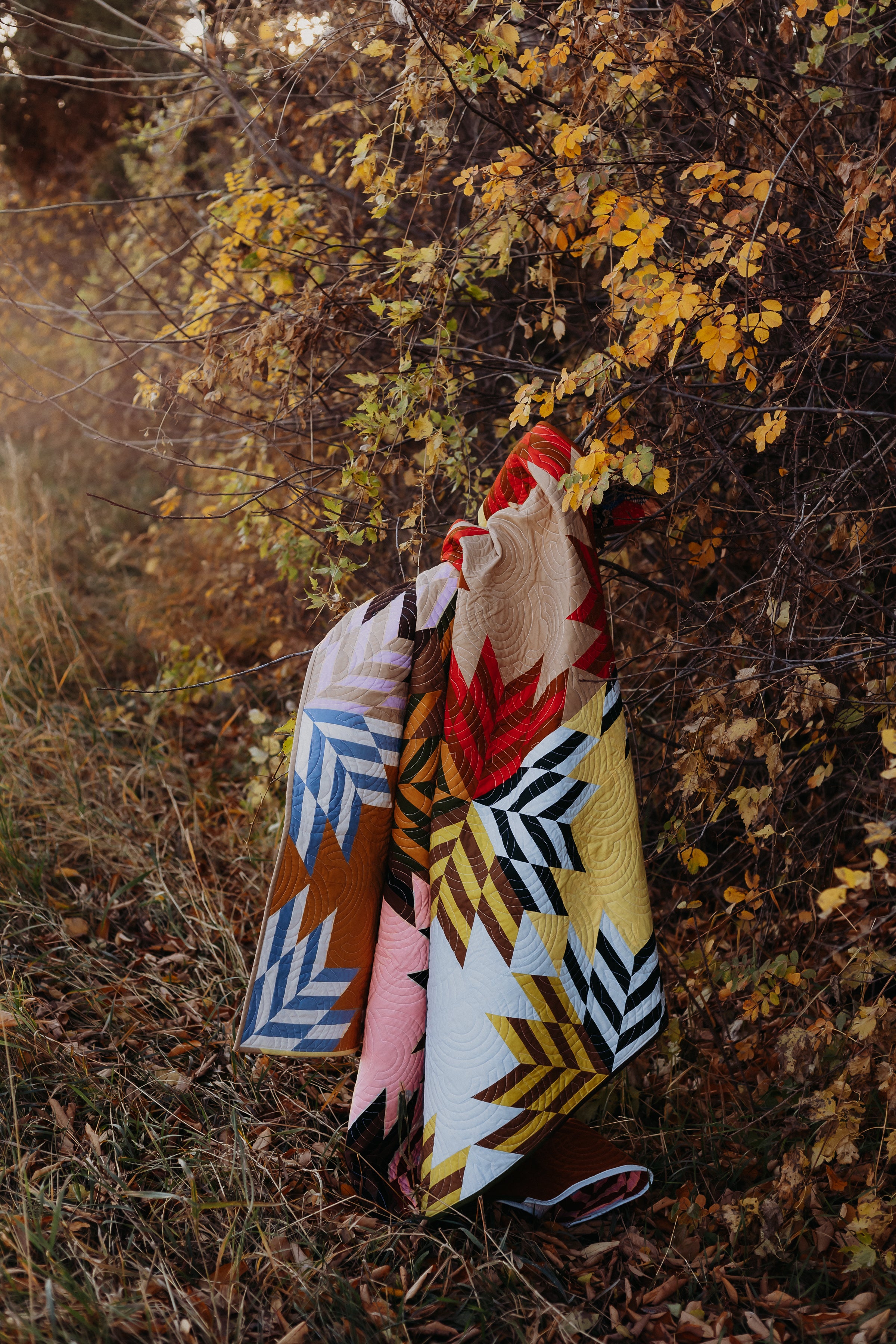 Backcountry Star Quilt Pattern - PRINTED