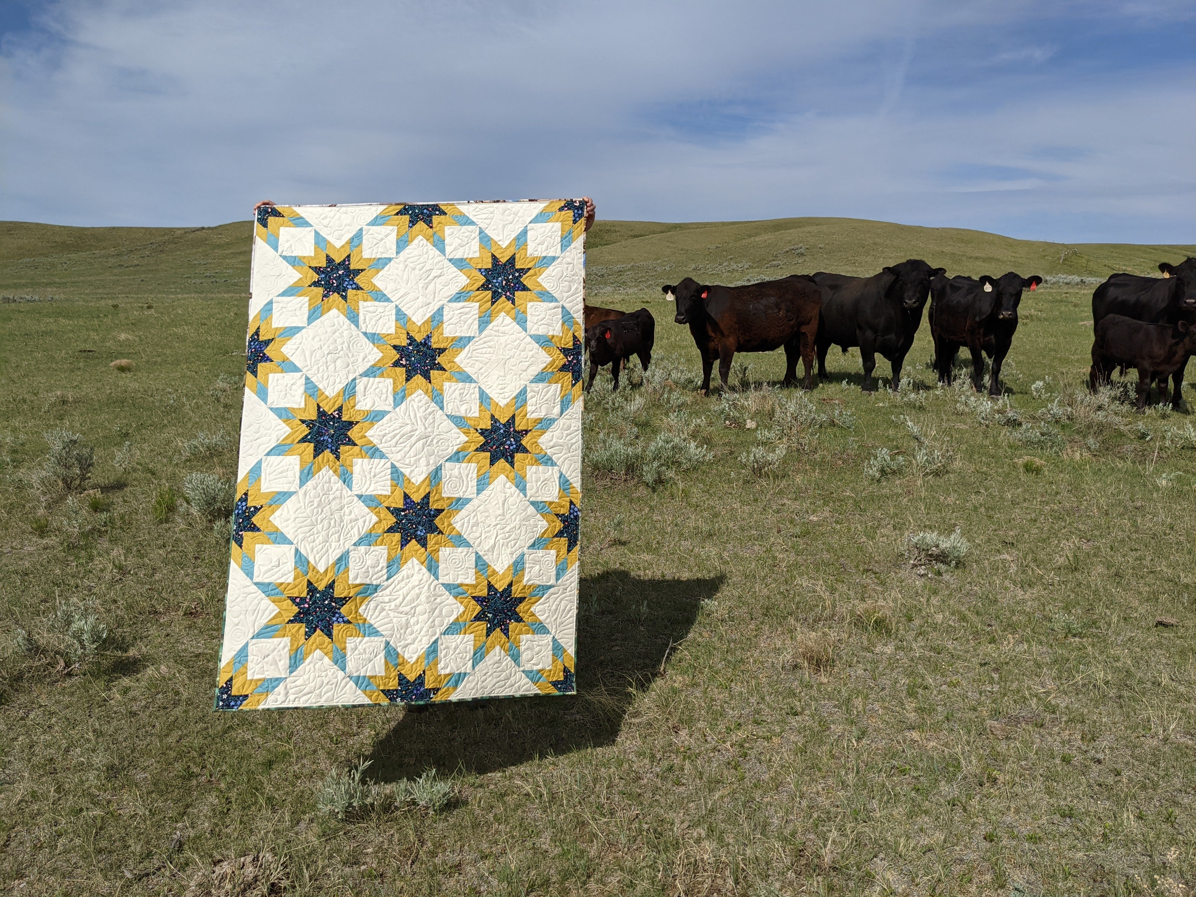 WHOLESALE - Not Alone Star Quilt Pattern, Pack of 5 patterns